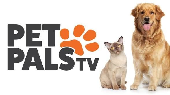 Pet Pals TV